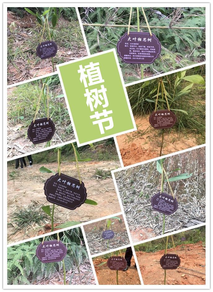 6057ee388b8db.jpg initpintu_123副本.jpg