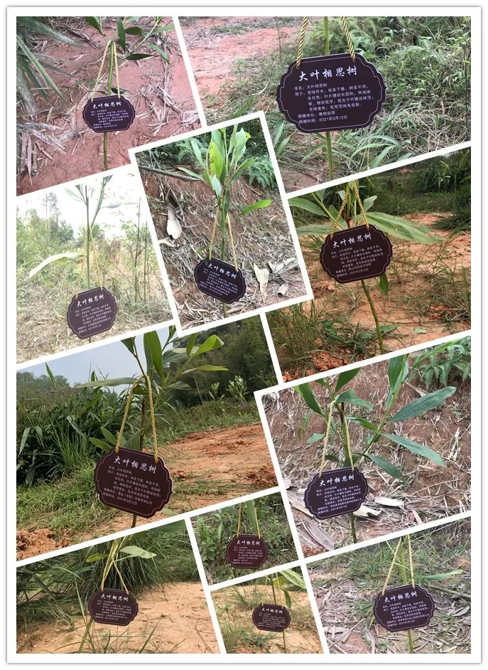 6057ee3fbd695.jpg 640.webp (1).jpg