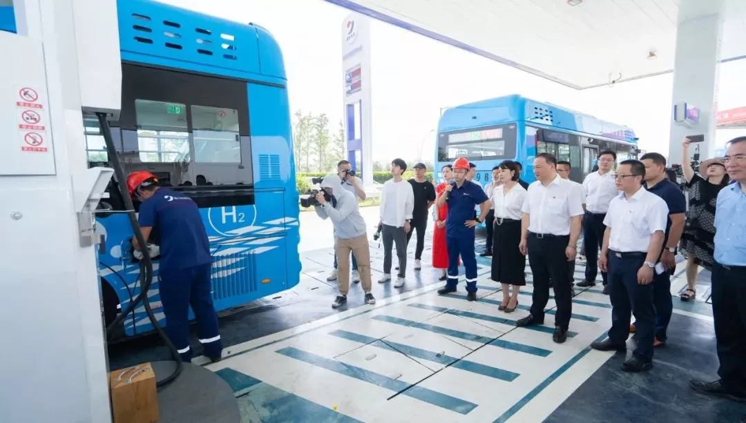 613abb064c47b.jpg 640.webp (4).jpg