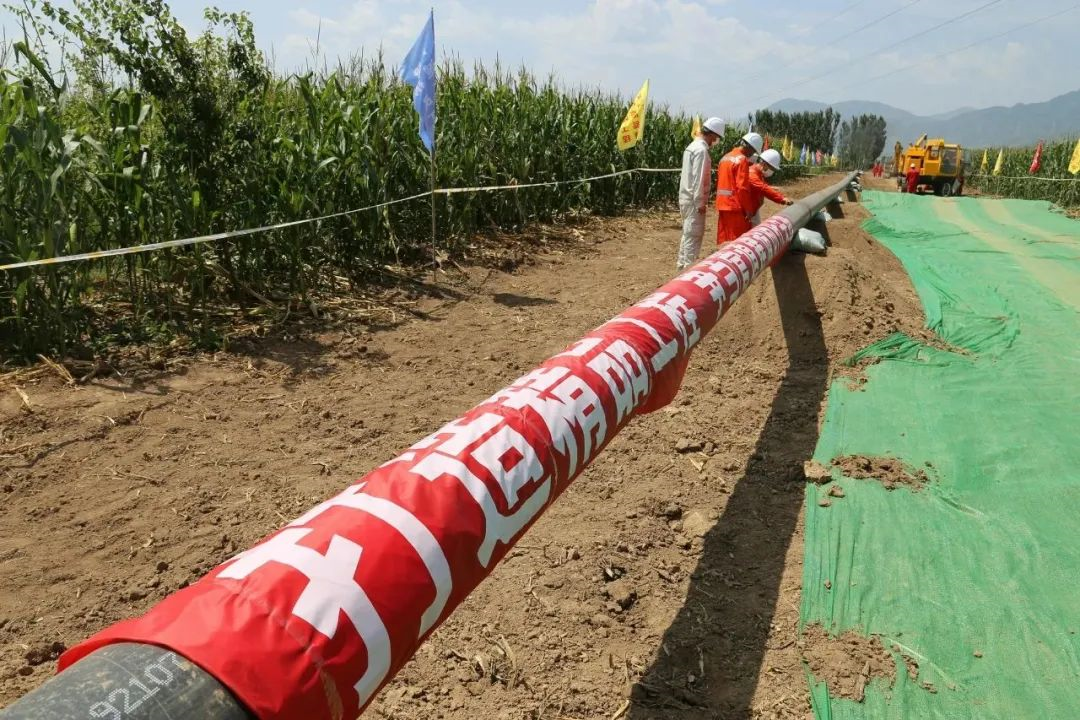 614bcfb549e2d.png image.png