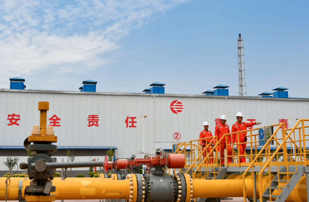 62d12916005f5.png 04.png