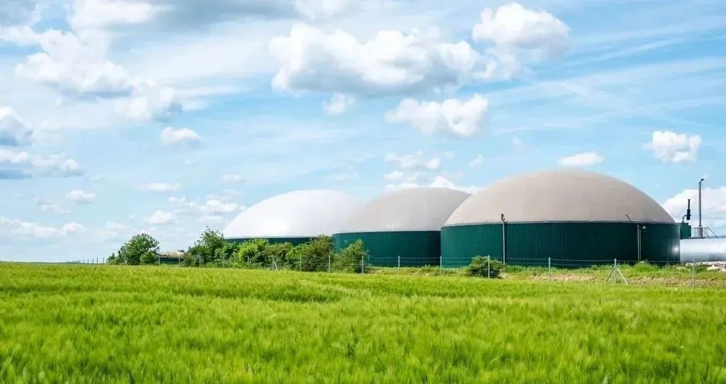 62d1296b49a54.jpg 10.jpg