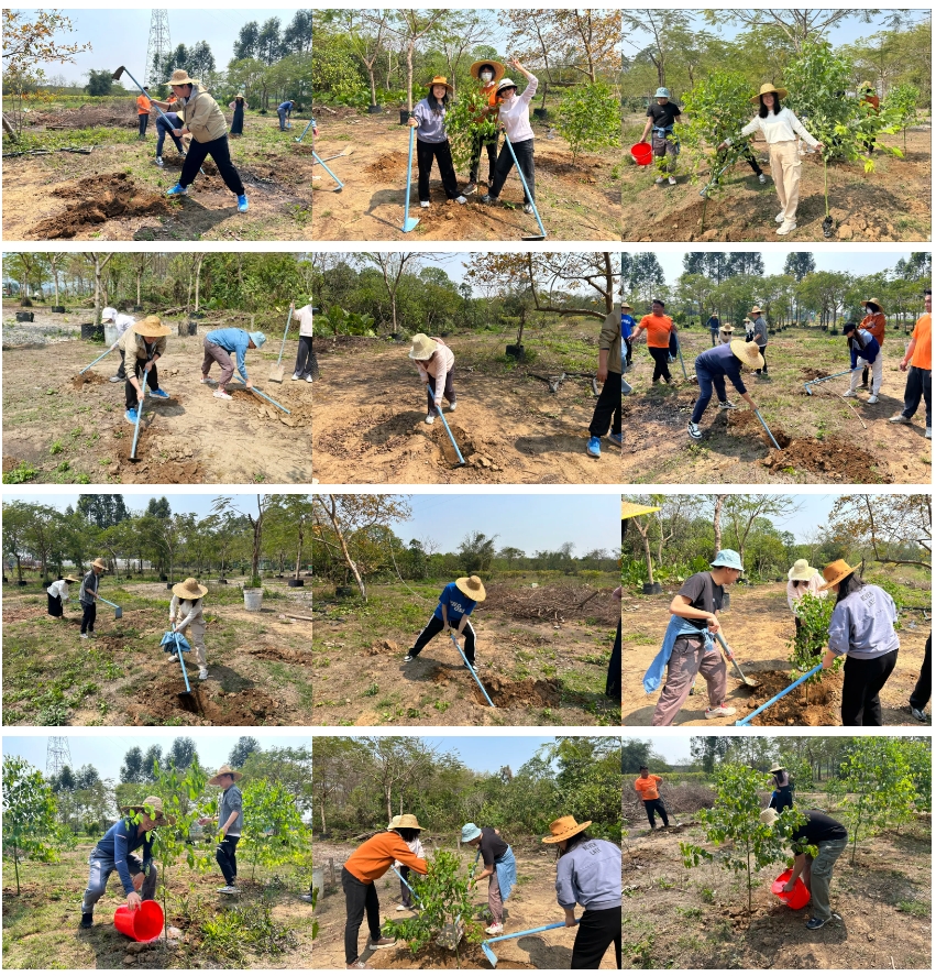 67ea5becb0c15.png 微信截图_20250331170953.png